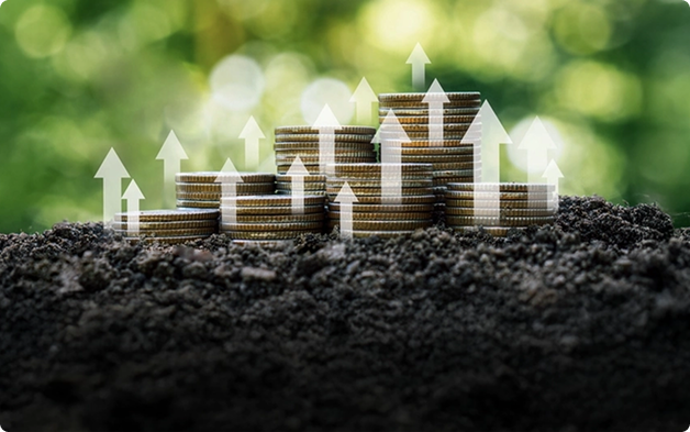 How Large-Cap Funds Work