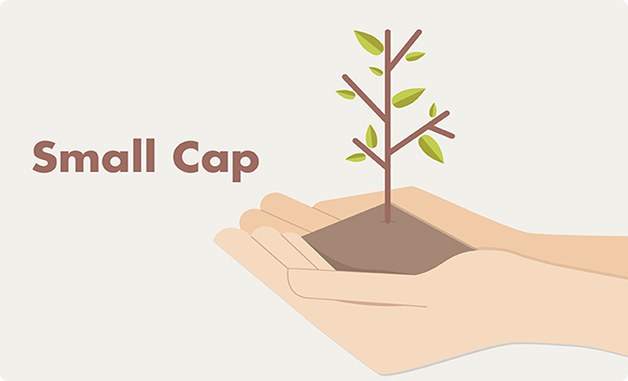 Small-cap Funds